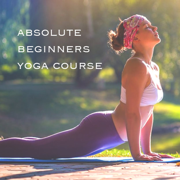 Hatha Yoga Programs & Basic Yoga Classes